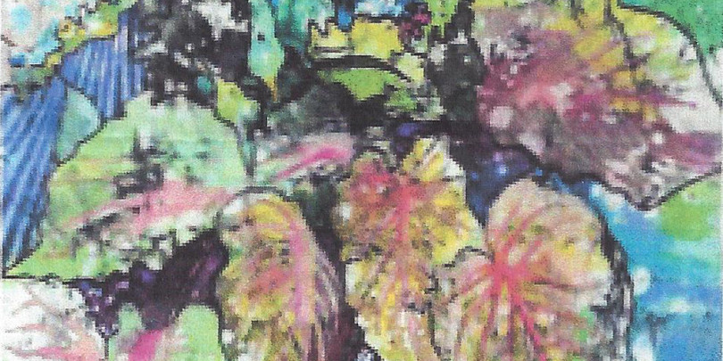 Watercolor Batik with Joan Wykis, April 7-8 Jane Wykis -watercolor batik