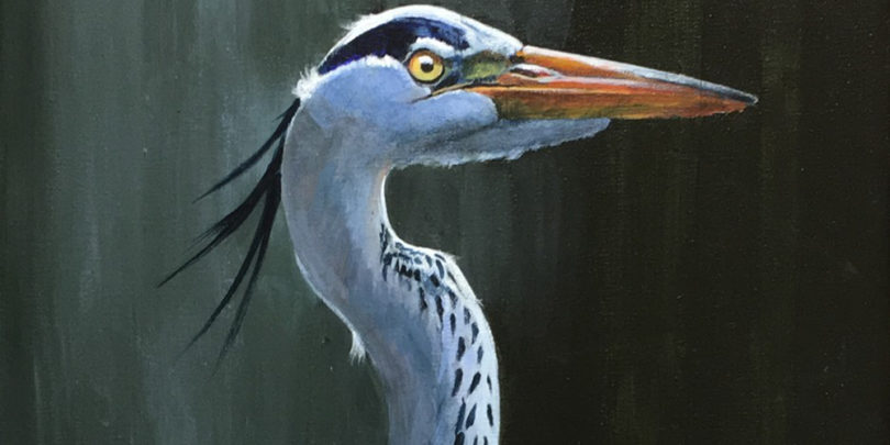 Stephen Moscowitz presents “Birds and Other Stuff” this July birdhorozontal