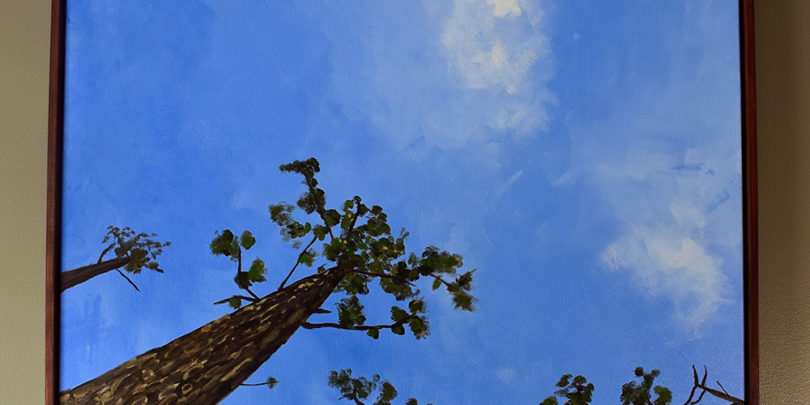 “Lowcountry Elements: A Natural Study” Featured at Society of Bluffton Artists Gallery in November DSC_0700