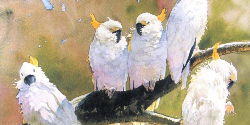 Birds In Watercolor Feb. 18-20 with David Rankin unnamed