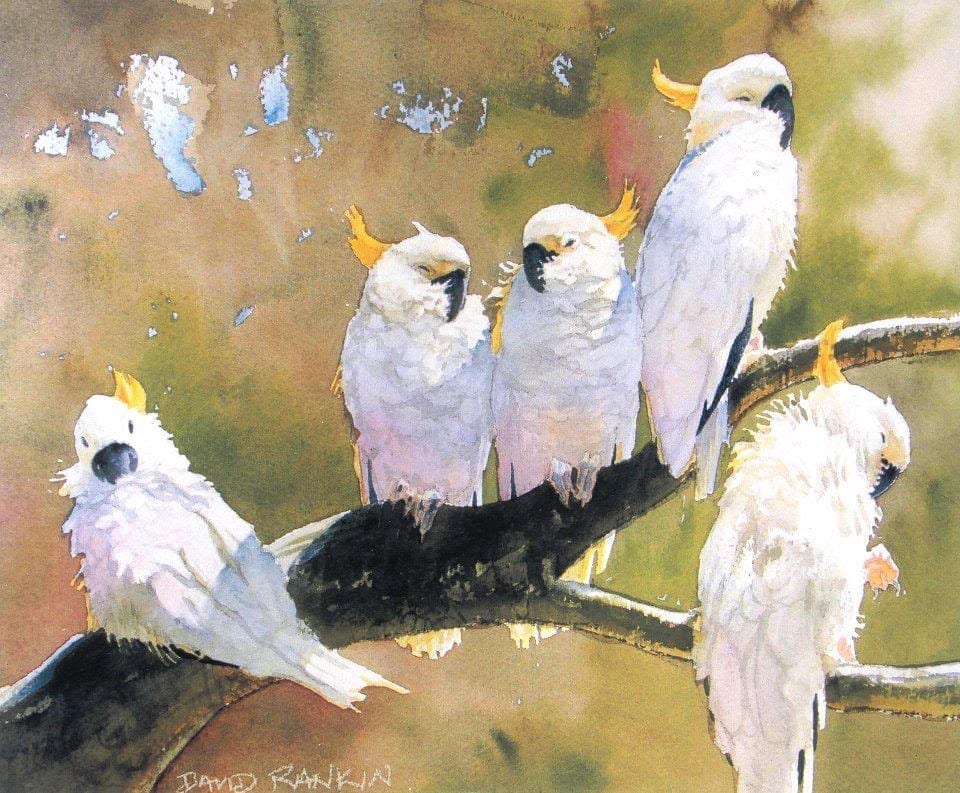 Birds In Watercolor