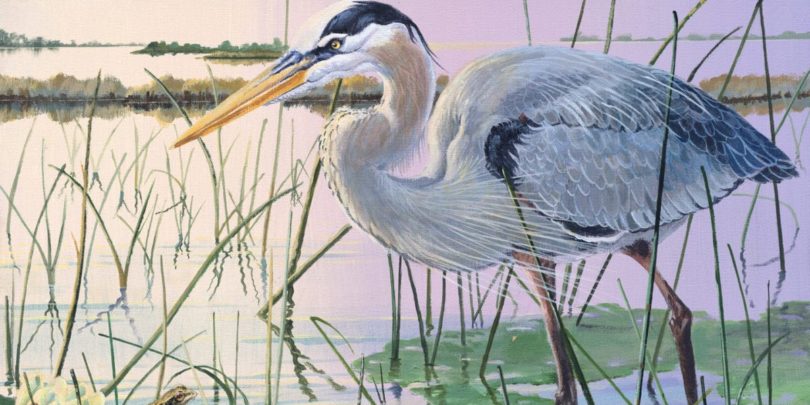 Stephen Moscowitz presents “Birds and Other Stuff” art exhibit at the Center for Creative Arts in Bluffton I-Hop-for-Breakfast-Web