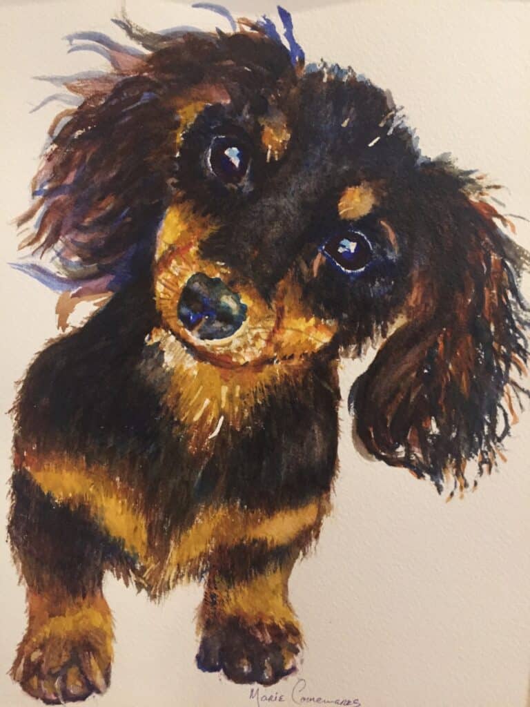 Introduction to Watercolor 2-Class Series - March 16 & 18 with Marie Camenares